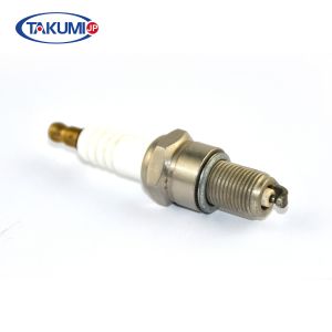 Подсказка иридия свечи зажигания чемпиона RN2C заменить RN79G/Denso GE3-1 GE3-5A/Bosch 731