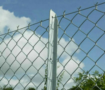 Hot Sale Chain Link Fence Made In China/ Chain Link Fence Manufacture