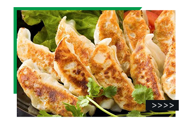 High Quality Source Manufacturer Delicious Quick Japanese Style Steamed Dumplings Fried Frozen Jiaozi Gyoza