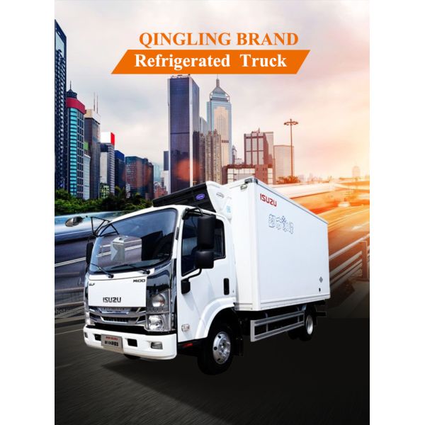 QINGLING M100 холодильный грузовик для пищи Мясо рыба Транспорт холодильник Перевозчик Citimax 500+ холодильный блок