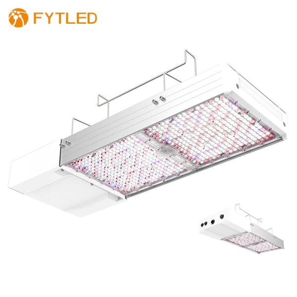 AC480V 2160μMol/S LED Grow Lights Aluminum For Floriculture
