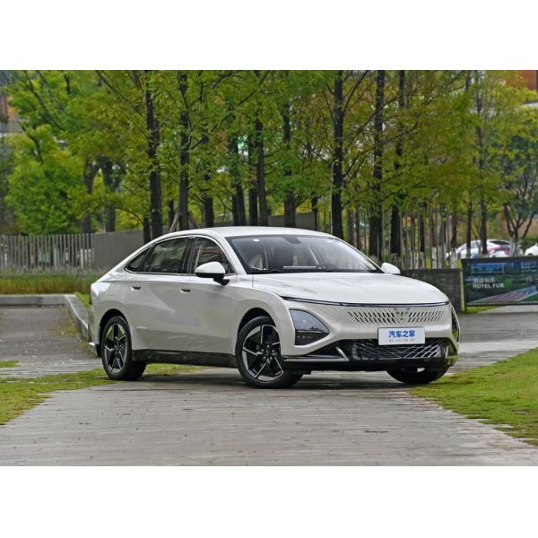 2024 Mini Car Electric Car for Adult Carro Electrico Wuling Xingguang EV Phev