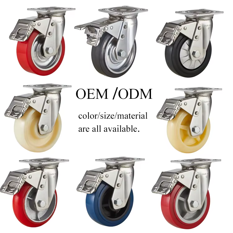 Stainless Steel SUS304 Institutional 50mm Ball Bearing Castor Thermoplastic Rubber Anti-rusting Caster Wheel