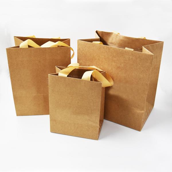 Custom Size Paper Shopping Bags for Promotion Retail  ISO9001 SGS FSC
