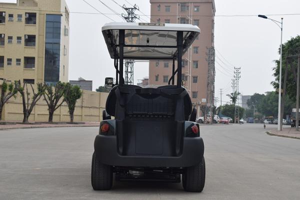Smooth Ride 6 Passenger Electric Golf Buggy with Trojan Battery