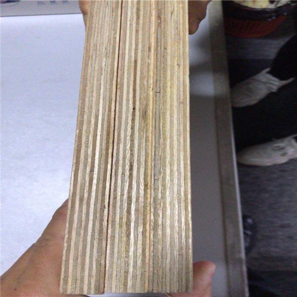 Glue E0 WBP Moisture 12% Sapele Veneer Plywood
