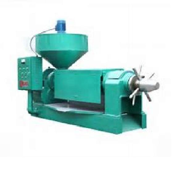 Industrial Screw Oil Press Machine For Rapeseed Oil Cabbage Bitter Herbs