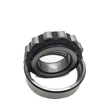 P6  NU 204 ECP SKF Roller Bearings With Catalogue