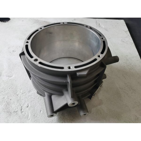 Custom Aluminium Die Casting Mould New Energy Motor Housing