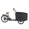 3 Wheel E-Cargo Bike with Steel Box for Family and Dog-Friendly Transportation