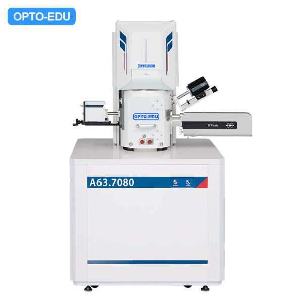Контролируемое увеличение Сем 8кс~800000кс электронного микроскопа сканирования мыши