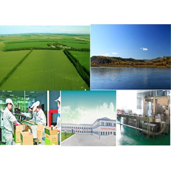 Huanan Rongxiang Agricultural Products Processing Co., Ltd.