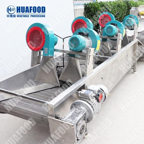 Fresh Vegetable Fruits Cleaning Machine Small Home Use Food Dehydrator Taro Cleaning Machine