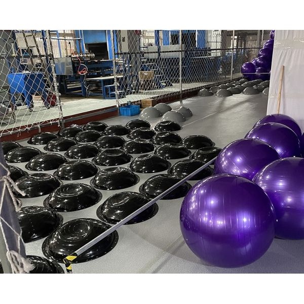 55cm 65cm 75cm Stability Pilates Fitness Gym Exercise Yoga Ball for Home Gym Core Training