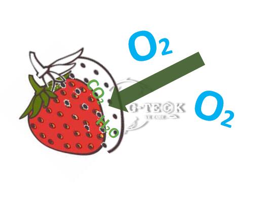 Water Solubility Chitosan Agriculture Products Strawberry Preserve