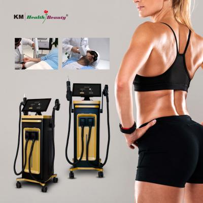 Enhance Beauty Routine Multi Purpose Beauty Appliance Diode Laser Technology 2 Handles