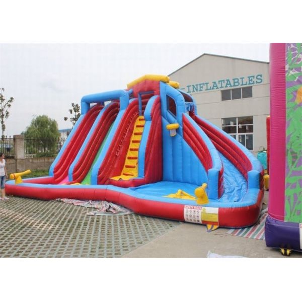 Одобренные водные горки большого сада раздувные двойные для детей