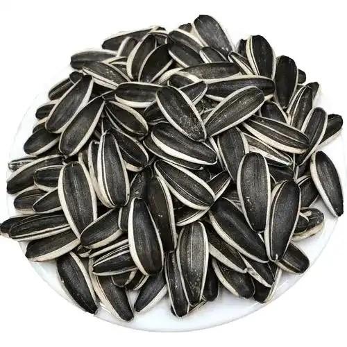 sementes de girassol orgânicas com preço barato em 2024 de fábricas na China Venda a quente 361 363 5009 3638 T5