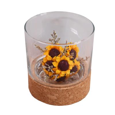 Frasco de vidro inodoro Cork Wood Base Groove de Toxicless 2,5 polegadas para a micro paisagem
