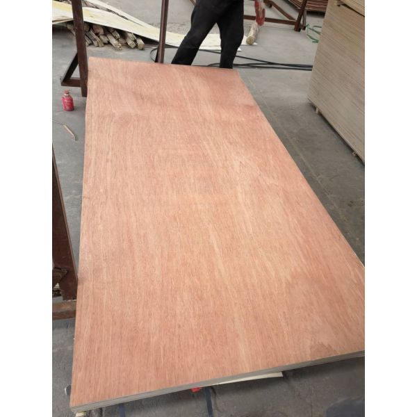 Alkaline Resistant WBP 22mm Hardwood Veneer Plywood