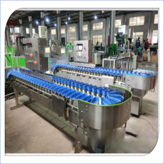 Sortadora e Pesadora de Frutas Automática