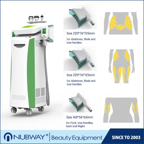 Criolipolisis Lipo Cryo Fat Freezing Machine 5 Handles with two handles work together with RF cavitation
