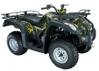 250cc ATV a pilhas toda a mão do veículo do terreno controlou a neve de 4x2 Off Road