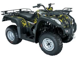 250cc ATV Battery Powered All Terrain Vehicle Hand Controlled 4x2 Off Road Snow