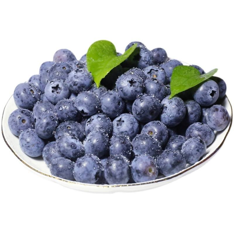 IQF Sweet Whole Blueberries Frozen Blueberries