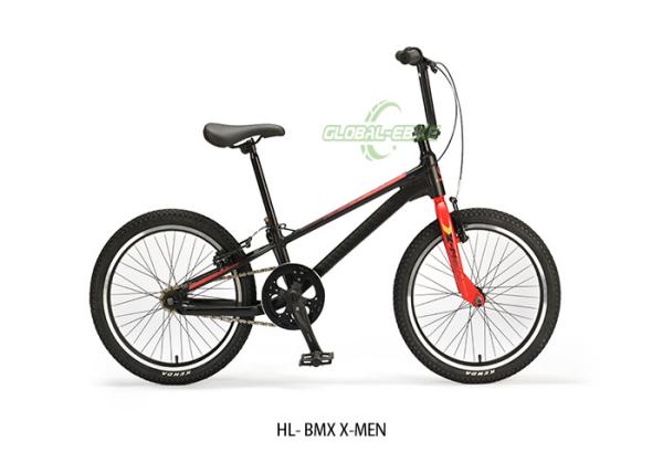 20 Inches Aluminum Alloy BMX Bike With RADIUS Brake And ATA 16T Freewheel