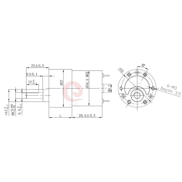 JQM-37RS3530 37mm 12V/24V Mini DC Spur Gear Motor Reducer6 6mm 1000rpm Металлическая коробка передач для торговых автоматов