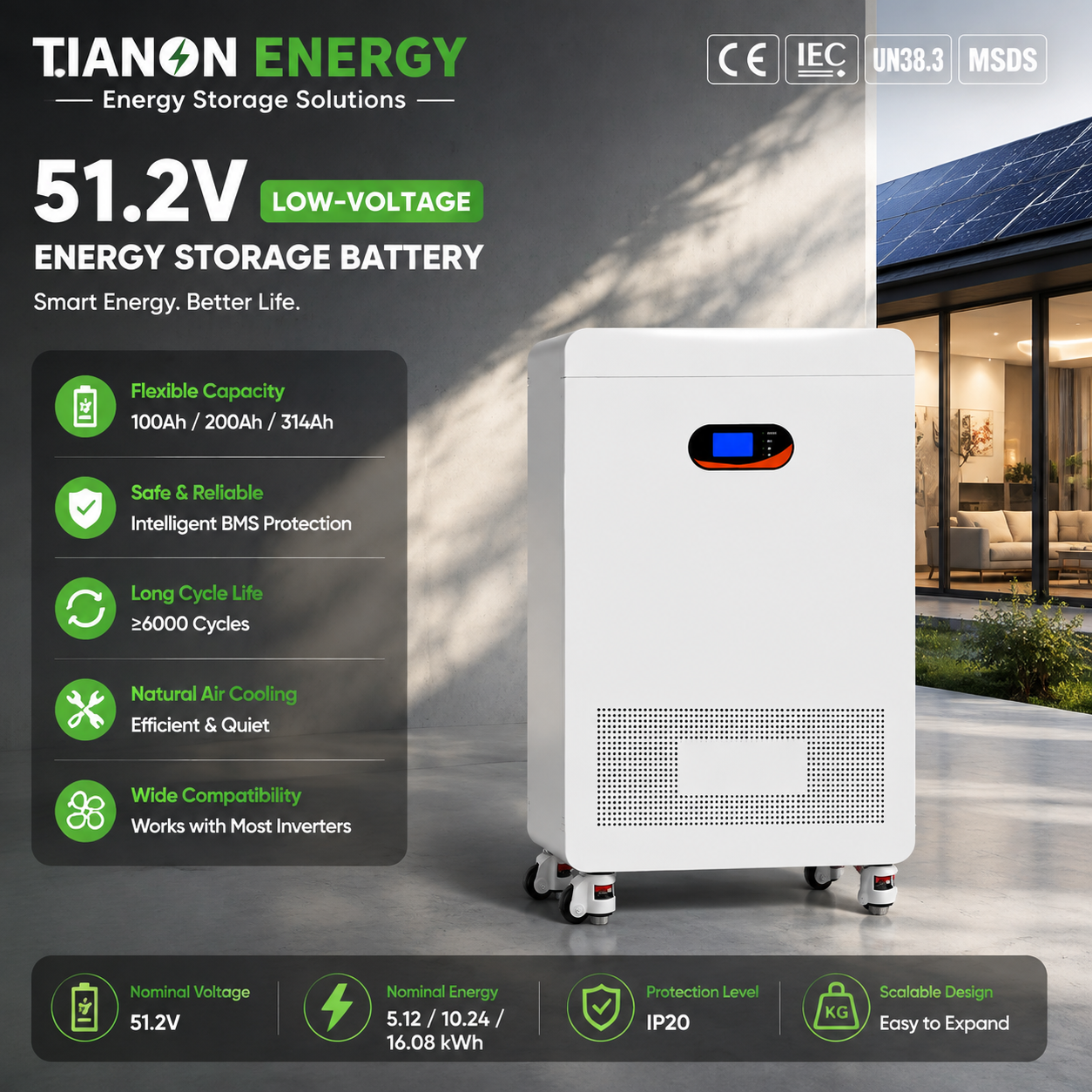 51.2V 314Ah 16.08kWh LiFePO4 Lithium Battery Energy Storage System Low Voltage ≥6000 Cycles BMS CAN RS485 Home Solar ESS