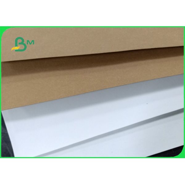 rollo lavable libre del papel de Kraft de la arruga blanca marrón del color oro de 0.55m m para los bolsos