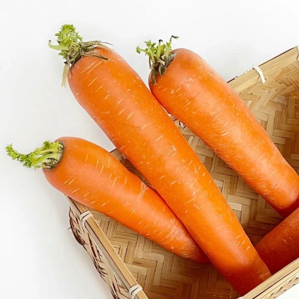 New Product Organic Cold Storage Crop Agricultural Fresh Carrots Water Washed