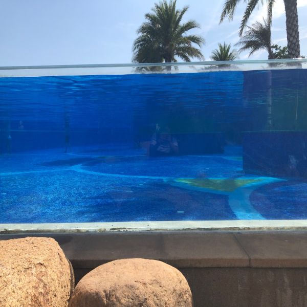 Villa Pool Outdoor Edge to Edge Tempered Fiberglass Pool Glass Swimming Pool Wall