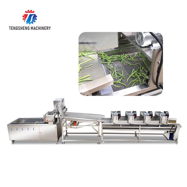 Fruit and vegetable washing and vibrating drying production line Fruit Vegetable FOOD processing production Machine Versatile and Durable Fruit Vegetable Processing Line for Your Business Processin