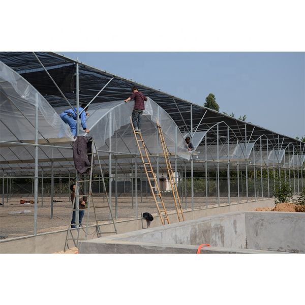 Без крыши вентиляции сельскохозяйственная теплица выращивание овощей одноразовая теплица