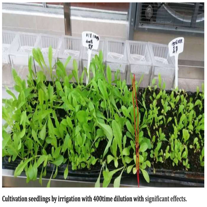 La proteína hidrolizada de la harina de pescado pulveriza el fertilizante soluble en agua del 100%