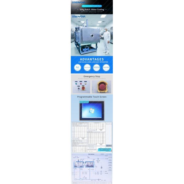 Biotechnology Freeze Drying Machine 5sqm Freeze Dryer Pharmaceutical Industry