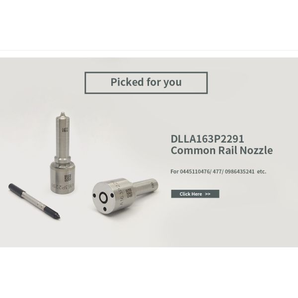 Комплект по ремонту инжекторов Bosch для инжекторов 0445110476 / 477 / 0986435241 Дноза DLLA163P2291