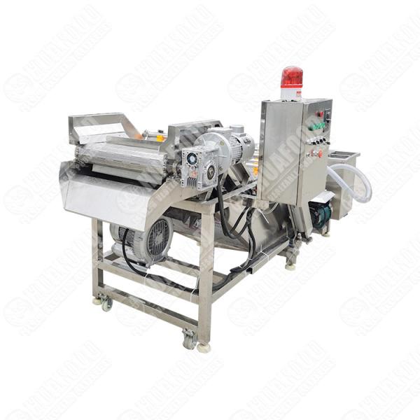 Fruit Vegetable Walnut Berry Washing Peeling Machine Water Bubble Cleaning Machine