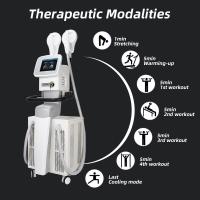 Astiland 220V EMT Sculptmax el ccsme que adelgaza la máquina