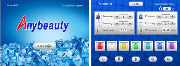 800W Body Cryolipolysis Slimming Machine with 2 Hand Pieces