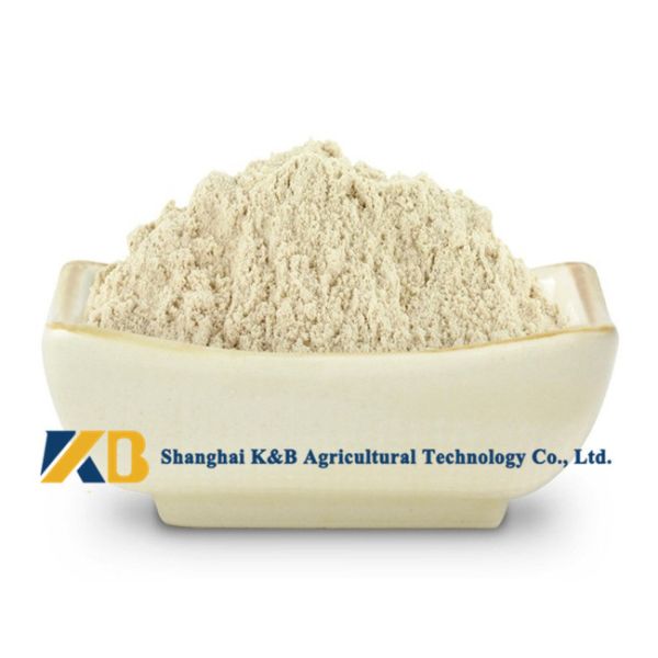 Pure Brown Rice Protein Products / Rice Based Protein Powder For Animal Feed
