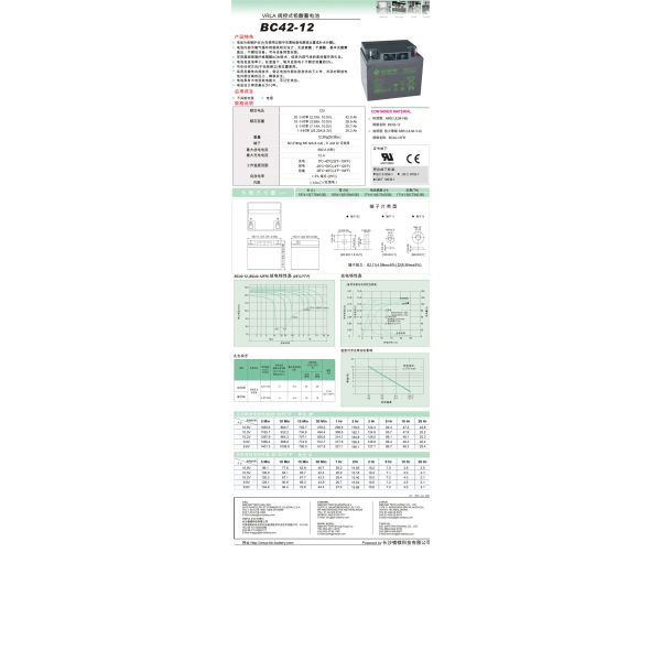 12V 42Ah BC42-12 VRLA Rechargeable Lead-acid Battery for Golf Carts
