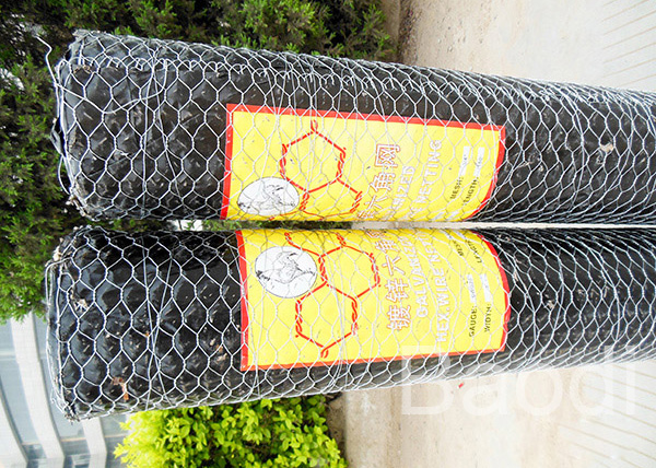 Electro Galvanized Chicken Wire Mesh Hexagonal Carbon Steel For Poultry Fence