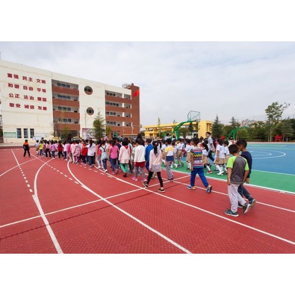 Справляться спорт полипропилена модульный съемный