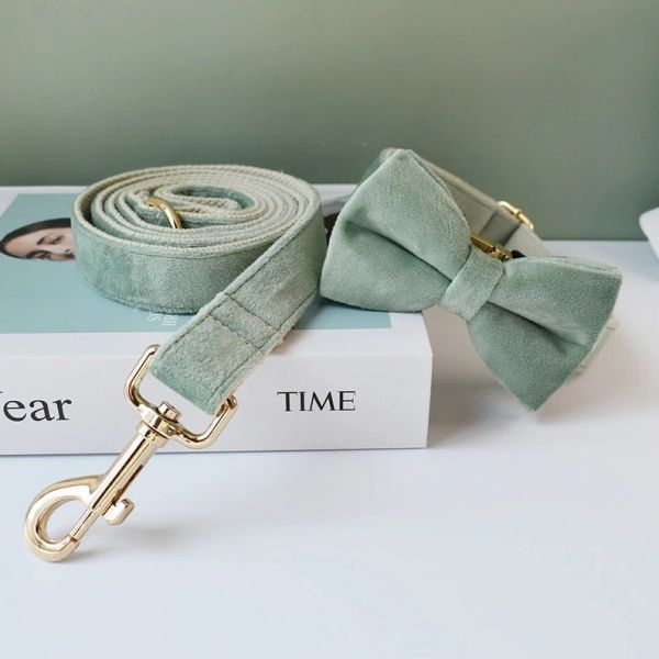 Luxury Nylon Dog Collar Leash With Bow Tie Gold Metal Bbuckles Adjustable Pet Supplies