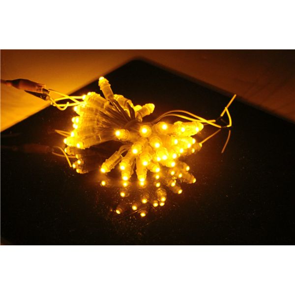 Le haricot EPISTAR IP67 12V 0.15W 9mm de miracle a mené des lumières de ficelle de pixel