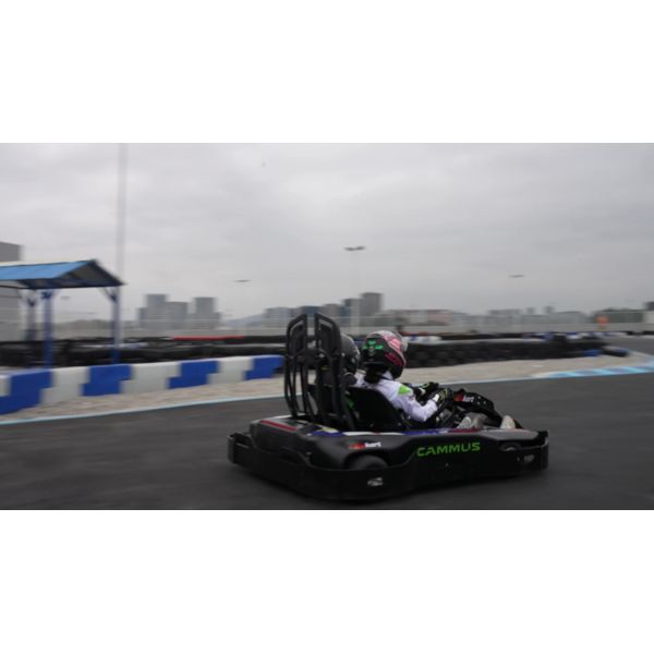 Быстрая обязанность электрическая идет Kart Pro с 4 колесами управляет скоростью мест взрослой быстрой